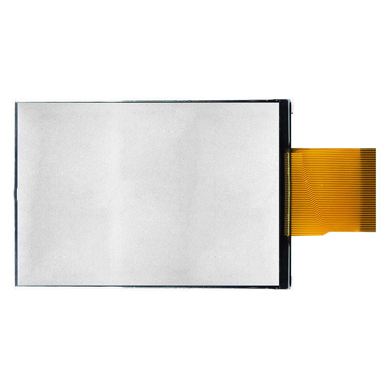 Segment LCD Module