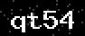 verify code