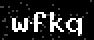 verify code